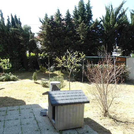 Celeste Flexrent - Abissinia Santa Maria di Scacciano